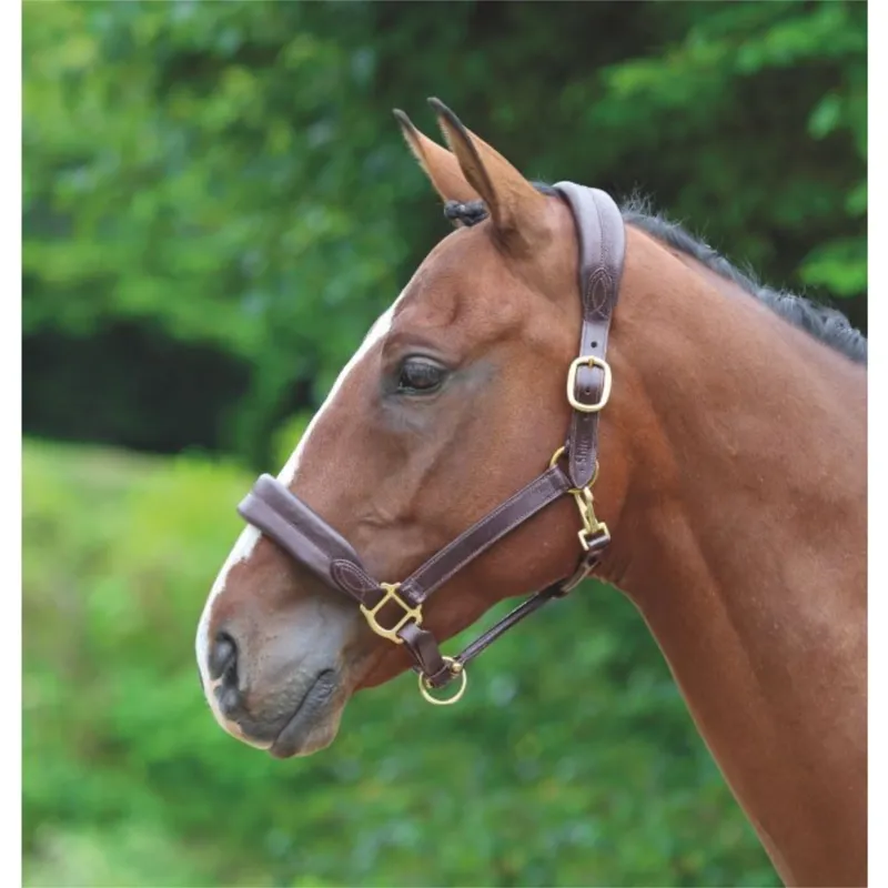Shires Blenheim Cushioned Headcollar - Havana